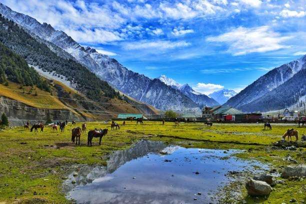 Kashmir — Honeymoon Special Package